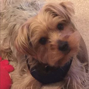 Meet your Posher, Crystal